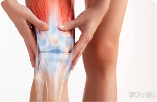 knee pain skeleton