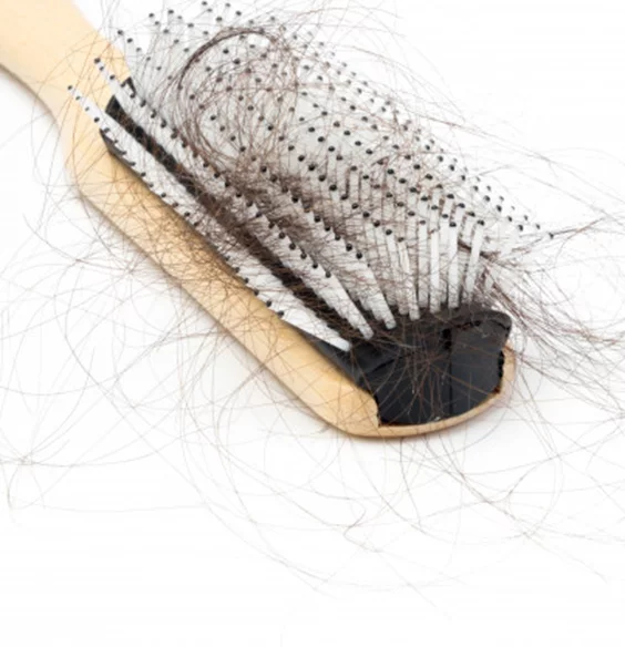 hair on brush