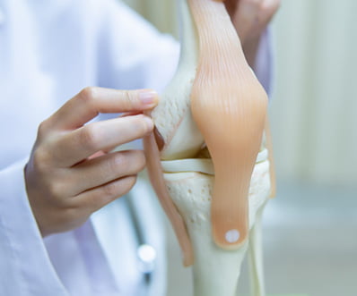 professional doctor pointed area model knee joint medical orthopedic concept